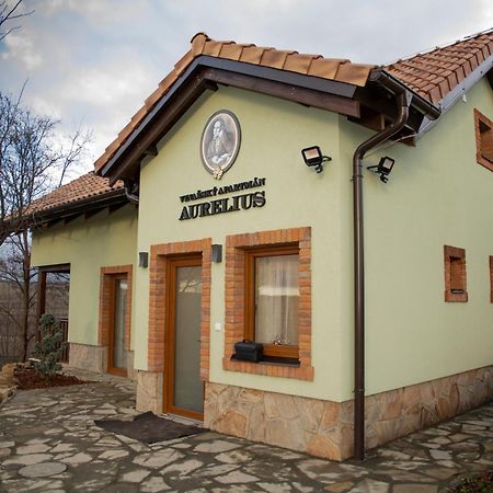 Vinarsky Penzion Andre Velké Pavlovice 외부 사진